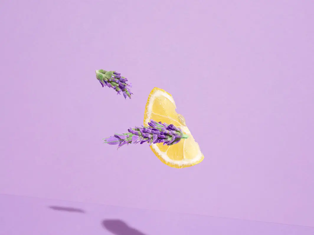 Lavendel-limonade Pods